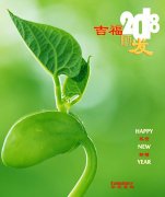 (元旦致辞)2018，吉福顺发！