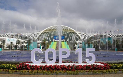 联合国生物多样性公约大会COP15 华光昱能光纤线